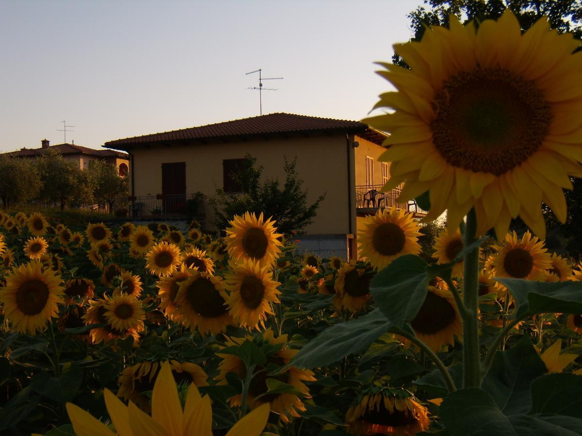مبيت وإفطار Montepulciano Stazione الجيراسول بيد آند بريكفاست المظهر الخارجي الصورة